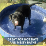 Pop-Up Foldable Outdoor Dog Bath & Swimming Pool - Image 5