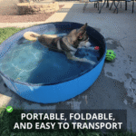 Pop-Up Foldable Outdoor Dog Bath & Swimming Pool - Image 4