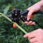 Professional Grafting & Pruning Tool