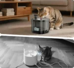 Wireless Cat Water Fountain 2L - External Pump with 306 Stainless Steel Panel - Image 4